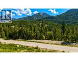 823 Copper Ridge Lane Road, Windermere, BC V0B2L0 Photo 7