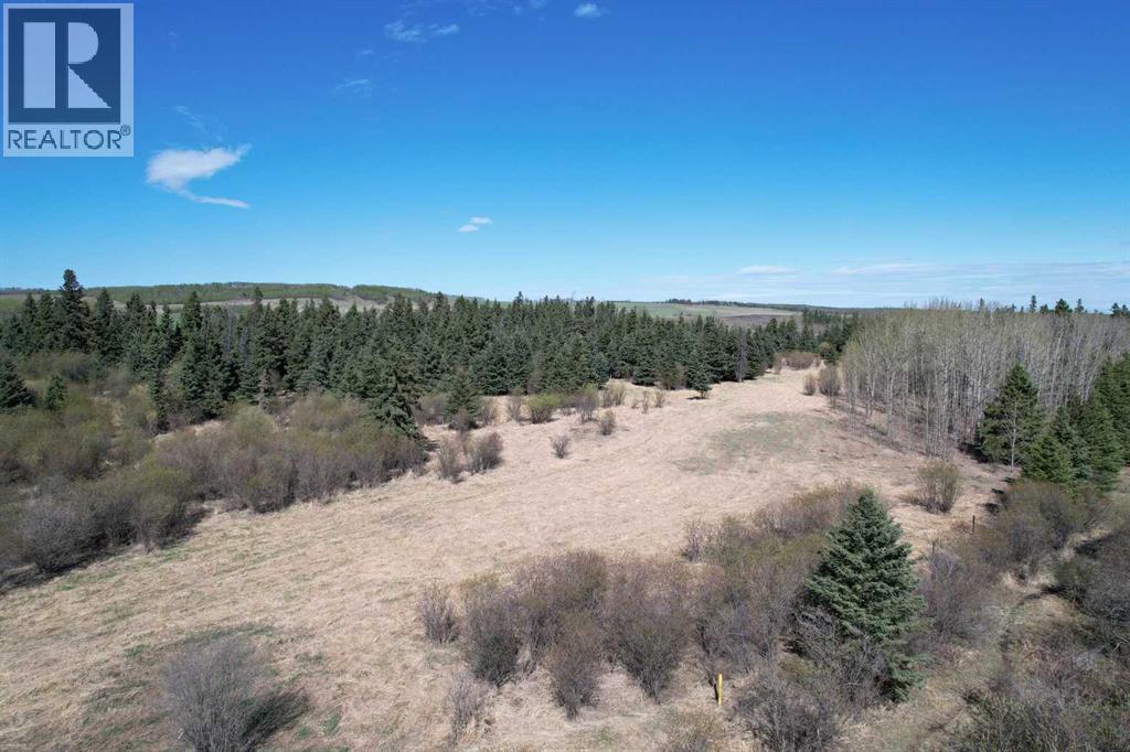 SW22-74-6-W6 63 Range Road — photo 10