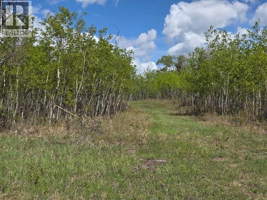 SW22-74-6-W6 63 Range Road - photo 2