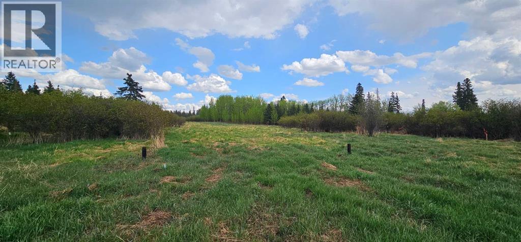 SW22-74-6-W6 63 Range Road - photo 3
