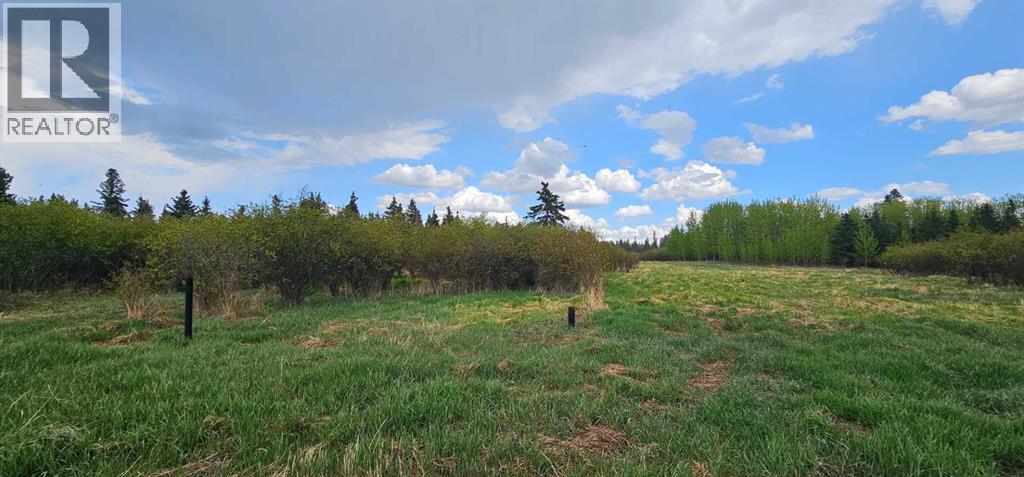 SW22-74-6-W6 63 Range Road - photo 4
