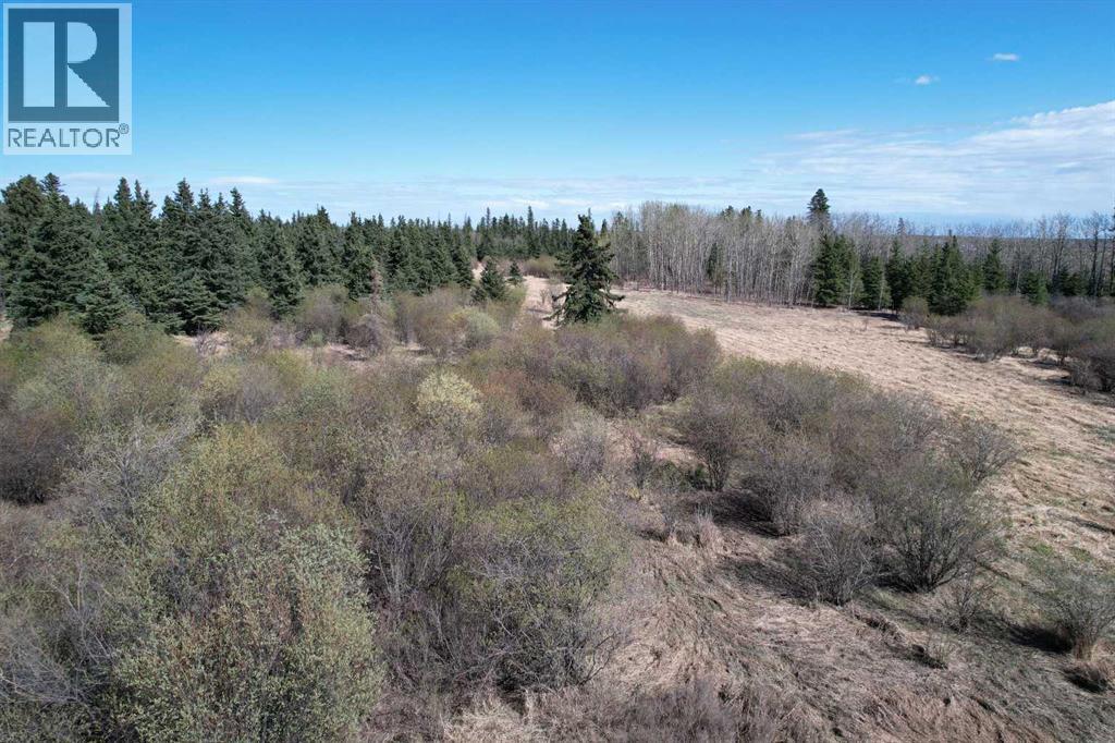 SW22-74-6-W6 63 Range Road — photo 7