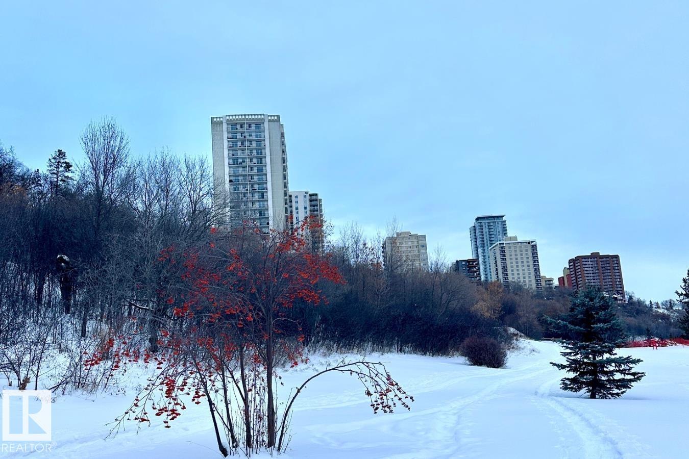 #205 11307 99 AV NW - 69