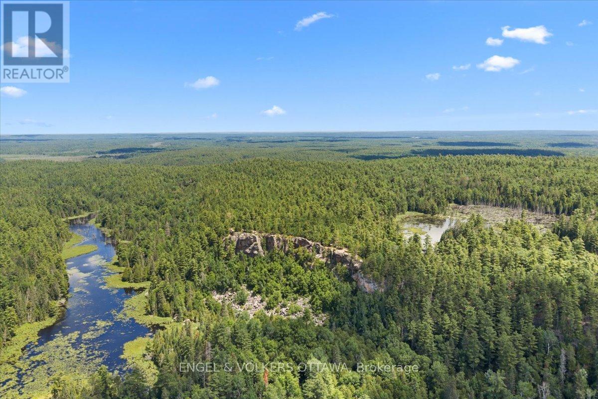 541 MORGLAN LANE - 39