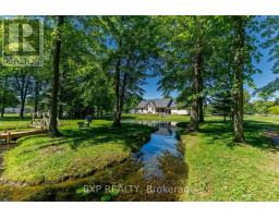 50849 O'reilly's Road S, Wainfleet, ON L0S1V0 Photo 39
