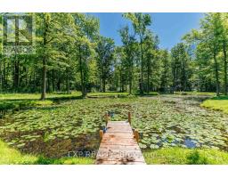 50849 O'reilly's Road S, Wainfleet, ON L0S1V0 Photo 40