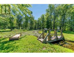 50849 O'reilly's Road S, Wainfleet, ON L0S1V0 Photo 41
