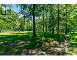 50849 O'reilly's Road S, Wainfleet, ON L0S1V0 Photo 43