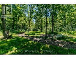50849 O'reilly's Road S, Wainfleet, ON L0S1V0 Photo 45