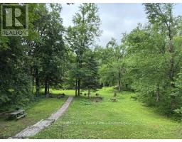 286 Edwina Drive, Trent Lakes, ON K0M1A0 Photo 19