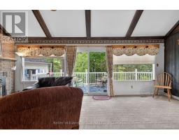 38 Jackson Road, Trent Hills, ON K0H1Y0 Photo 21