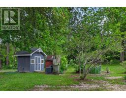 38 Jackson Road, Trent Hills, ON K0H1Y0 Photo 47