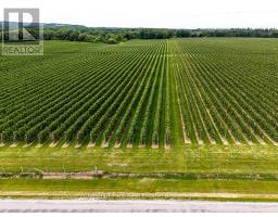 Pt Lt 31 Sideroad 30, Blue Mountains, ON N0H2P0 Photo 7