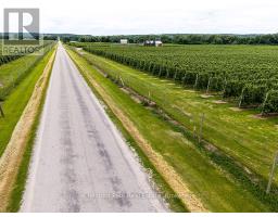 Pt Lt 31 Sideroad 30, Blue Mountains, ON N0H2P0 Photo 8