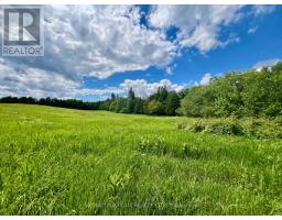 9390 60 Highway, North Algona Wilberforce, ON K0J1T0 Photo 32