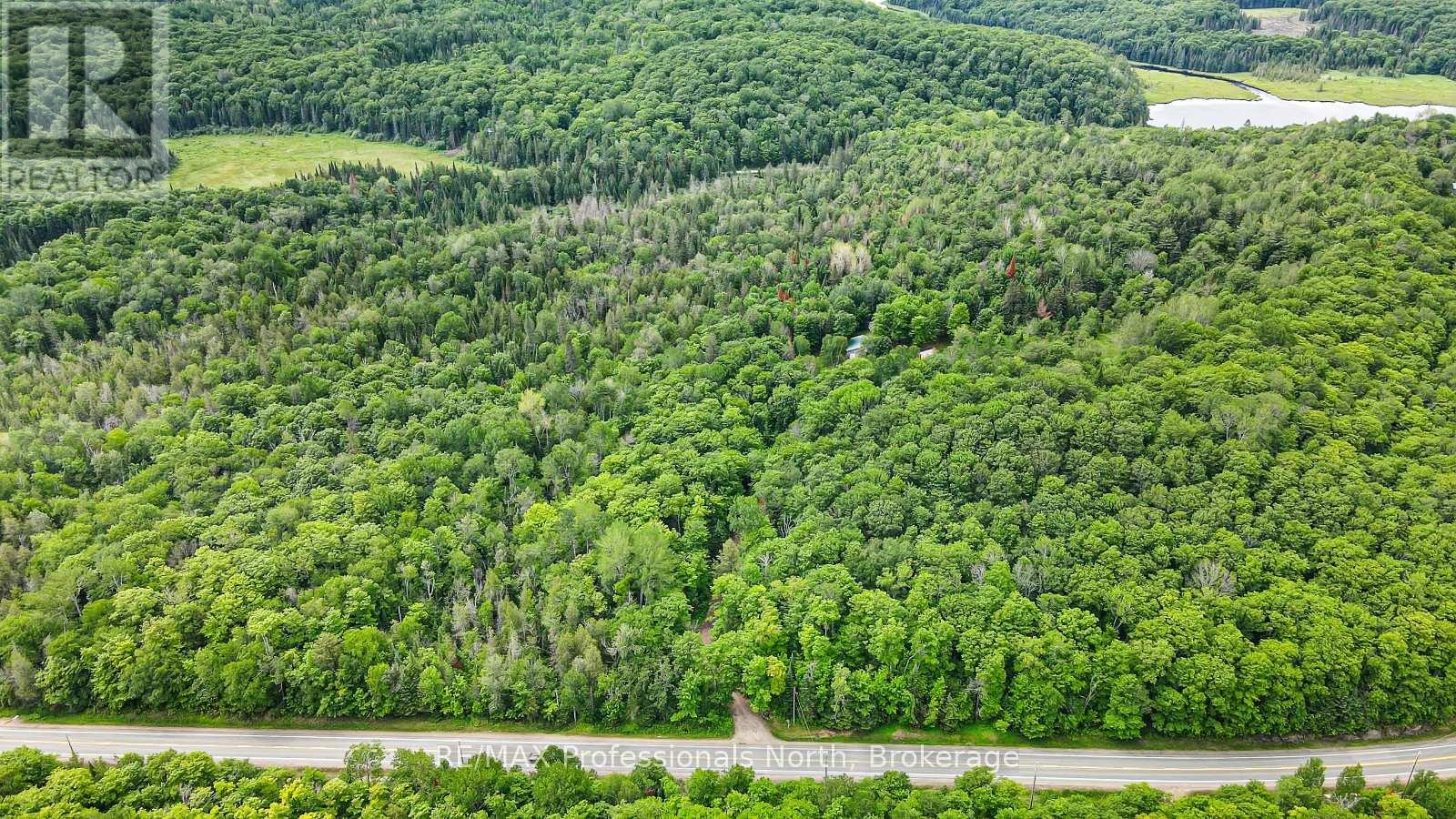 17254 HIGHWAY 118 - Image 4