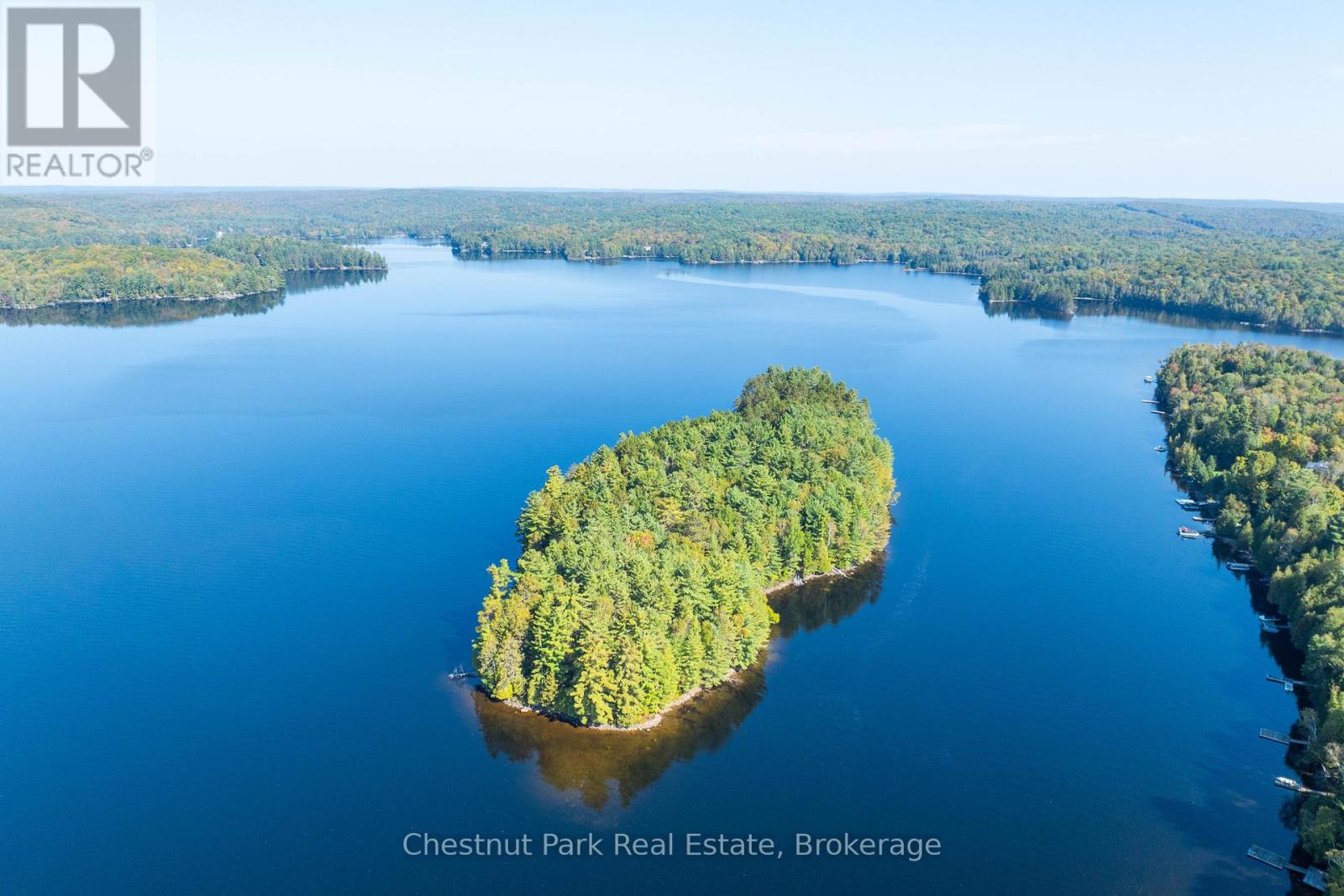 10000 SOYERS - BROWN ISLAND - 2