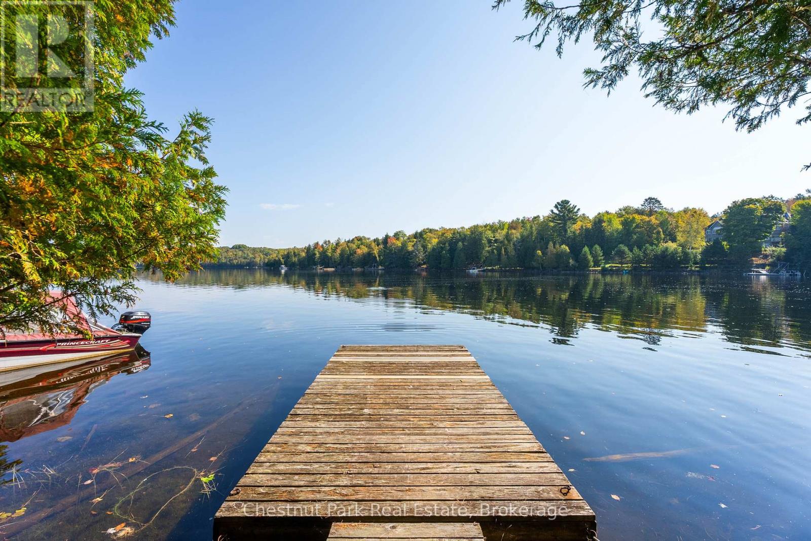 10000 SOYERS - BROWN ISLAND - 26