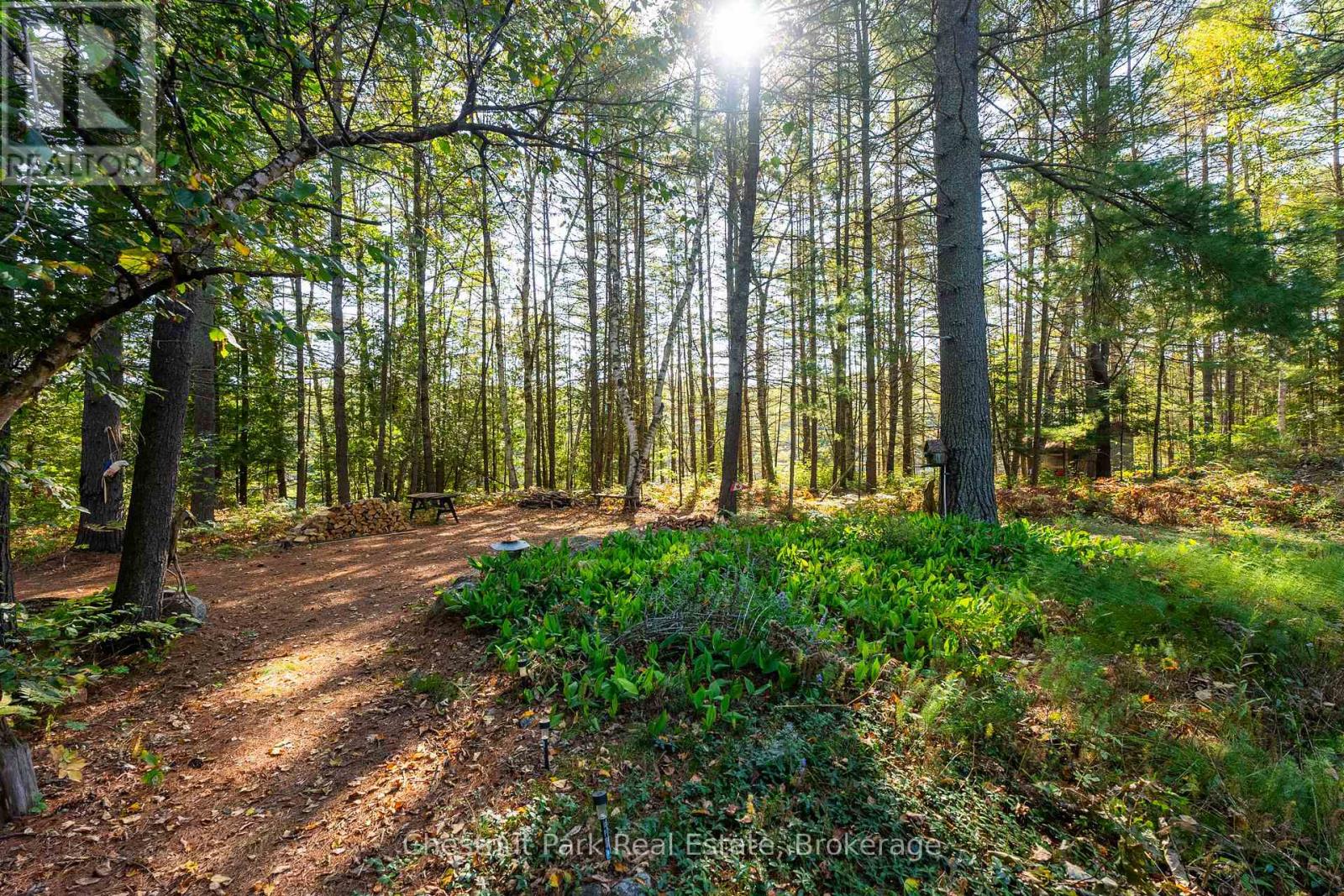 10000 SOYERS - BROWN ISLAND - Image 4