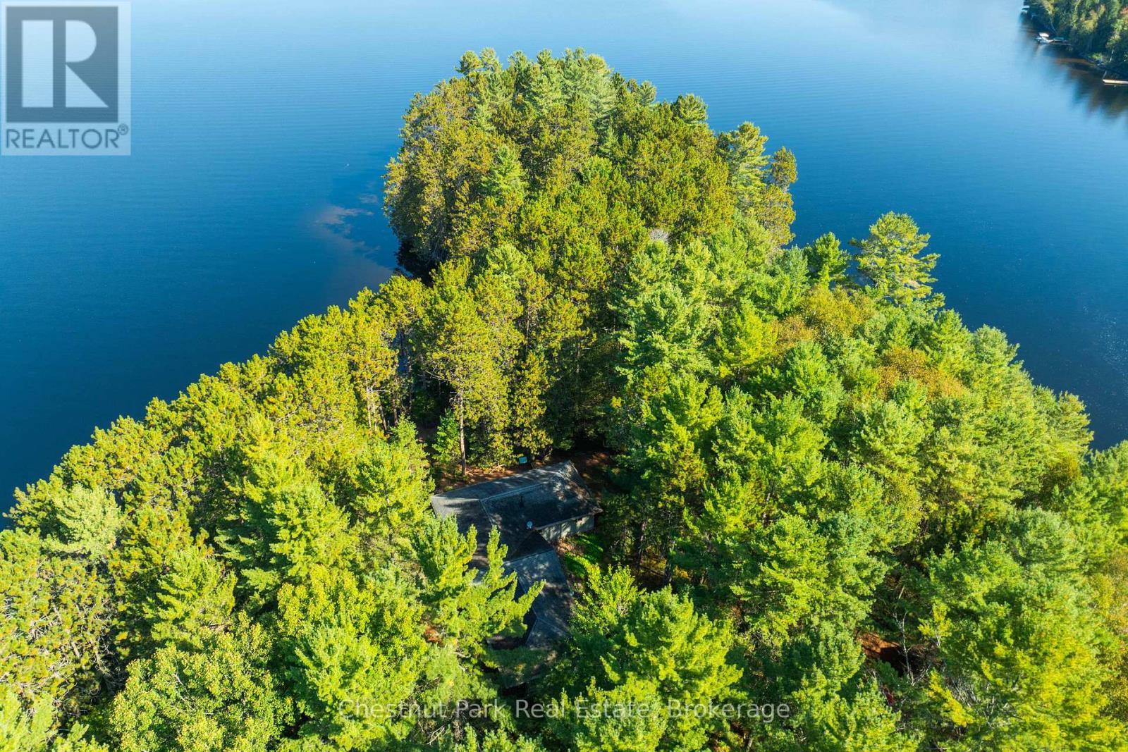 10000 SOYERS - BROWN ISLAND - 3