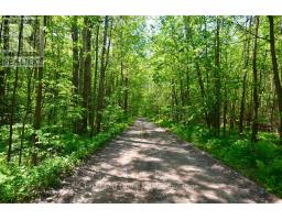 199 3 Concession Road W, Tiny, ON L0L2T0 Photo 14