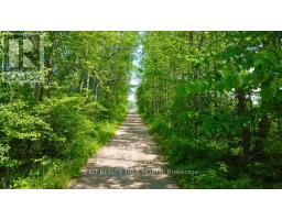 199 3 Concession Road W, Tiny, ON L0L2T0 Photo 15