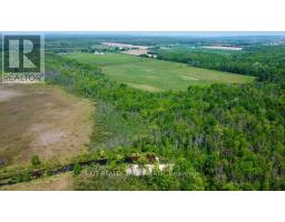 199 3 Concession Road W, Tiny, ON L0L2T0 Photo 38