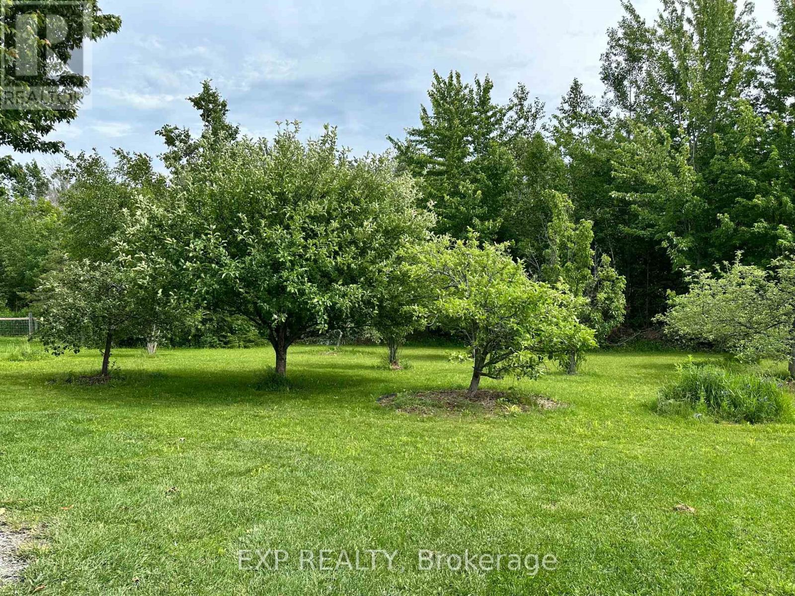 91 SIMCOE ROAD - 30