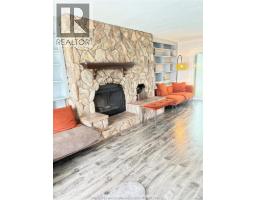 Living room/Fireplace - 2437 Riverside Drive West, Windsor, ON N9B1B2 Photo 7