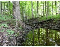 1931 Elm Tree Road, Frontenac, ON K0H1B0 Photo 19