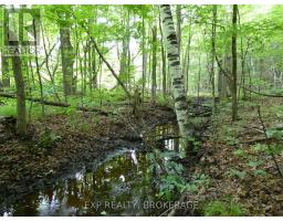 1931 Elm Tree Road, Frontenac, ON K0H1B0 Photo 18