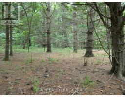1931 Elm Tree Road, Frontenac, ON K0H1B0 Photo 21