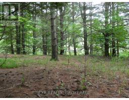 1931 Elm Tree Road, Frontenac, ON K0H1B0 Photo 22