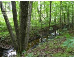 1931 Elm Tree Road, Frontenac, ON K0H1B0 Photo 17