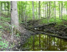 1931 Elm Tree Road, Frontenac, ON K0H1B0 Photo 16
