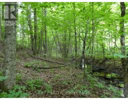 1931 Elm Tree Road, Frontenac, ON K0H1B0 Photo 20
