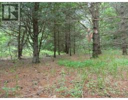 1931 Elm Tree Road, Frontenac, ON K0H1B0 Photo 23