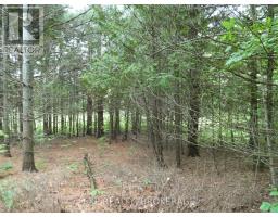 1931 Elm Tree Road, Frontenac, ON K0H1B0 Photo 25