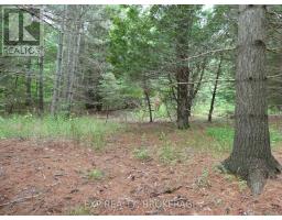 1931 Elm Tree Road, Frontenac, ON K0H1B0 Photo 24