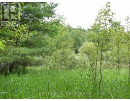 1931 Elm Tree Road, Frontenac, ON K0H1B0 Photo 27