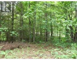 1931 Elm Tree Road, Frontenac, ON K0H1B0 Photo 29