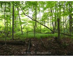 1931 Elm Tree Road, Frontenac, ON K0H1B0 Photo 30
