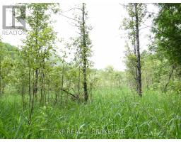 1931 Elm Tree Road, Frontenac, ON K0H1B0 Photo 26