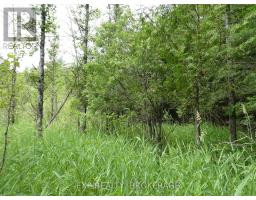 1931 Elm Tree Road, Frontenac, ON K0H1B0 Photo 28