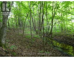 1931 Elm Tree Road, Frontenac, ON K0H1B0 Photo 31