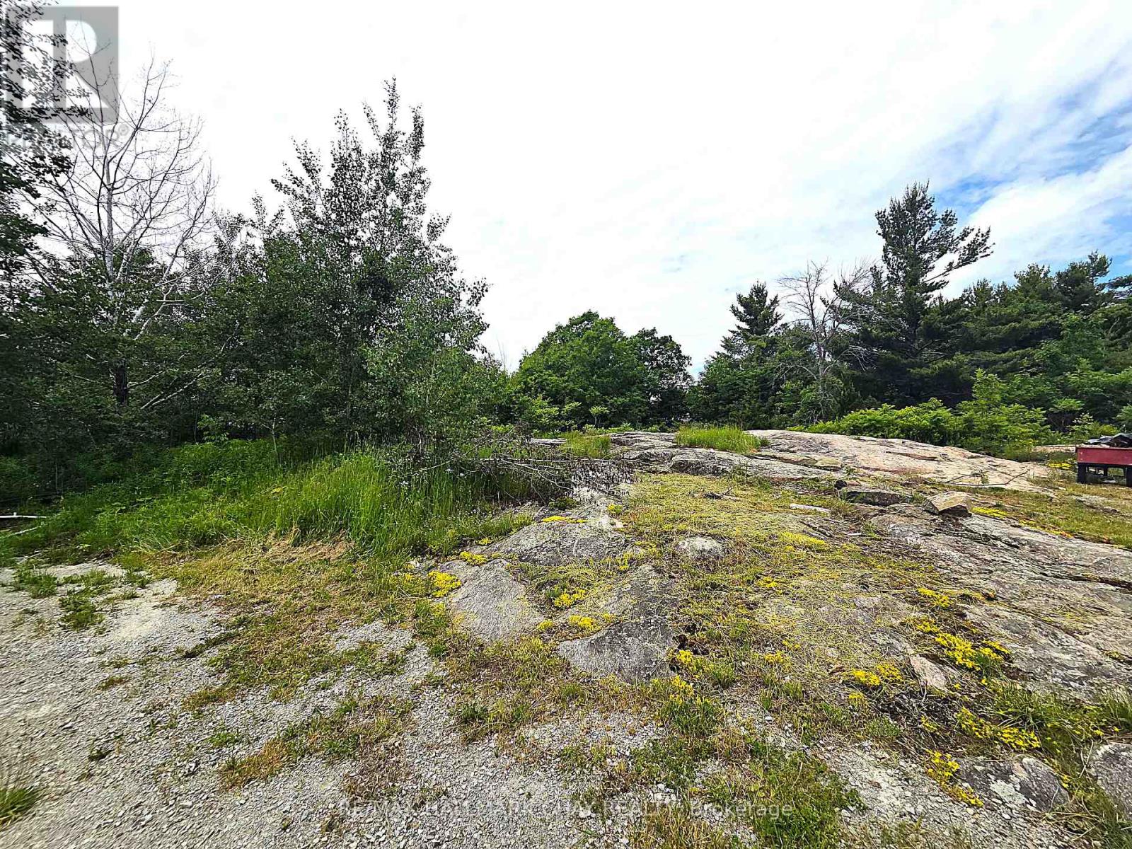 1594 HONEY HARBOUR ROAD - 5