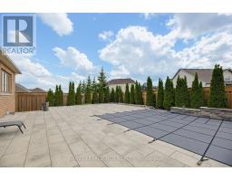 19 Skelton Street, Mono, ON L9W6W9 Photo 49