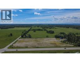 10, 5113 Highway 27 Highway, Rural Mountain View County, AB T0M1X0 Photo 38
