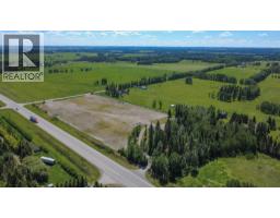 10, 5113 Highway 27 Highway, Rural Mountain View County, AB T0M1X0 Photo 39