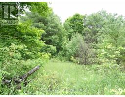 1881 Elm Tree Road, Frontenac, ON K0H1B0 Photo 22